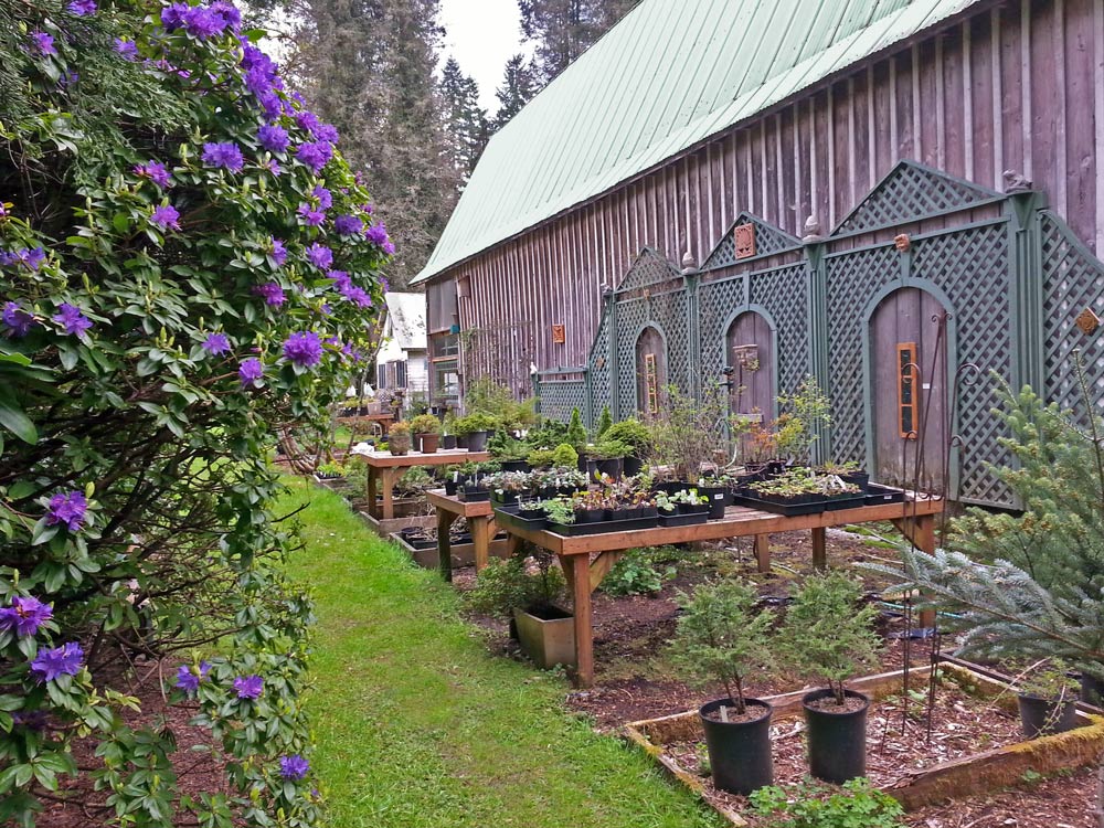 plant nursery by a barn